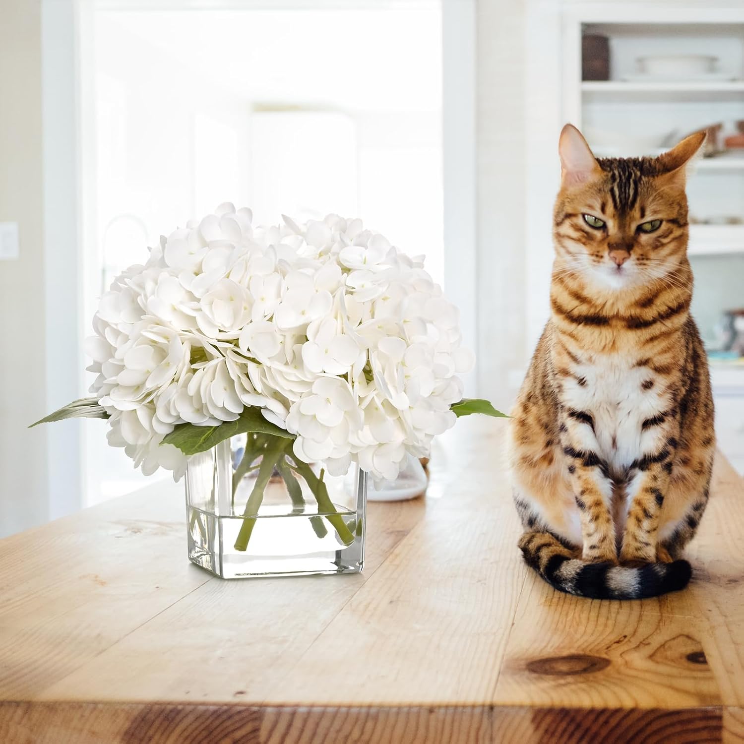 Bloomfinity:  Luxury PU Fake Flowers in Vase with Faux Water, White Real Touch Roses Artificial Flowers with Glass Vase for Office Home Dining Room Centerpiece Table Decorations