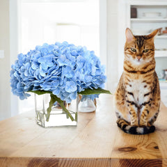 Bloomfinity:  Luxury PU Fake Flowers in Vase with Faux Water, White Real Touch Roses Artificial Flowers with Glass Vase for Office Home Dining Room Centerpiece Table Decorations